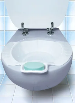 Bidet-Einsatz