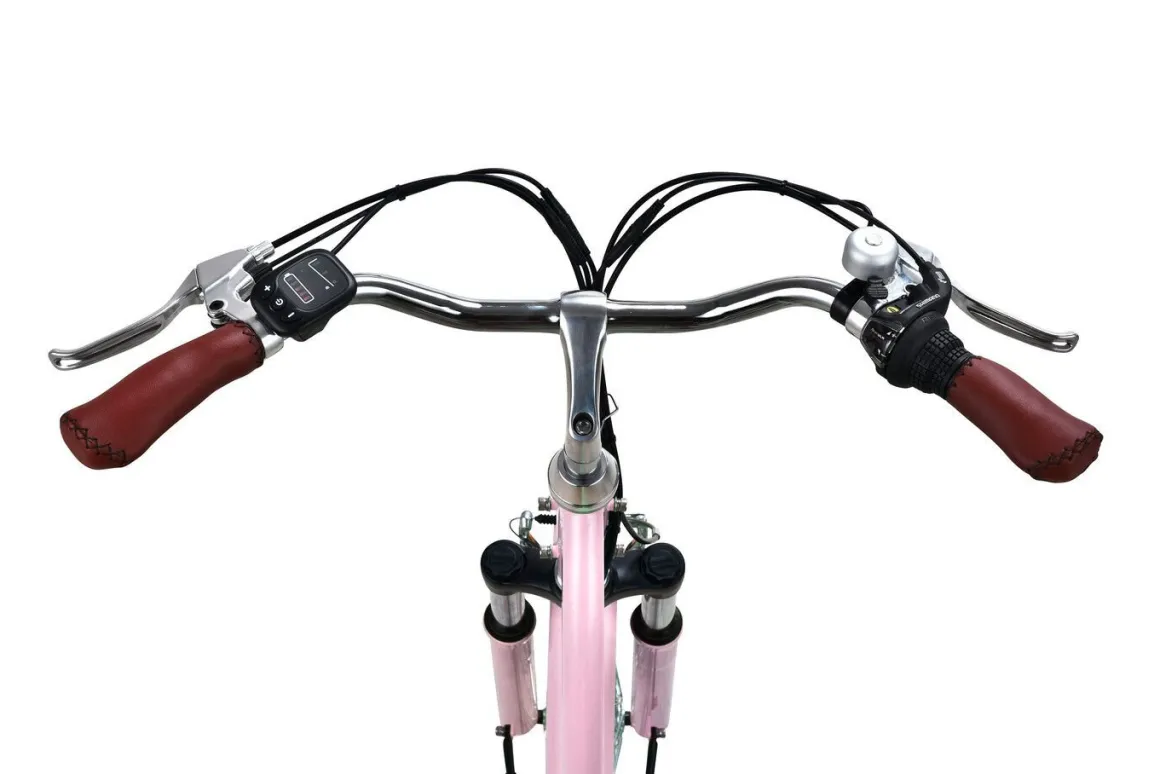 City-E-Bike mit Tiefeinstieg