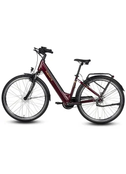 E-Bike Comfort Plus 5.0 von Saxonette