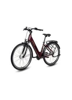 E-Bike Comfort Plus 5.0 von Saxonette