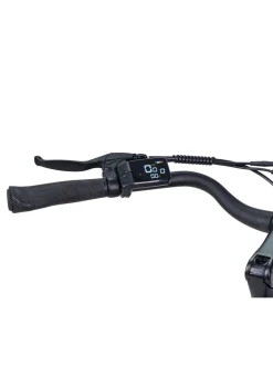 E-Bike Comfort Plus 5.0 von Saxonette