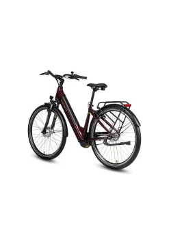 E-Bike Comfort Plus 5.0 von Saxonette