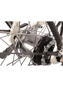 E-Bike Comfort Plus 5.0 von Saxonette