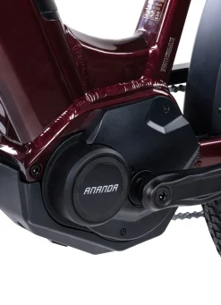 E-Bike Deluxe SUV Easy