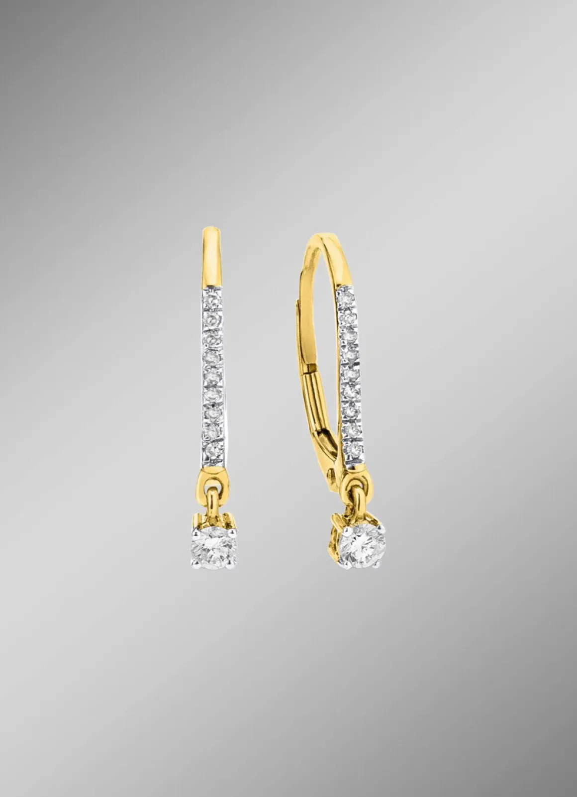Edle Ohrringe mit 2 Brillanten und 18 Diamanten