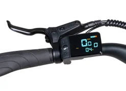 E-Trekking-Bike X-Road 5.2 von SAXONETTE