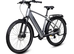 E-Trekking-Bike X-Road 5.2 von SAXONETTE