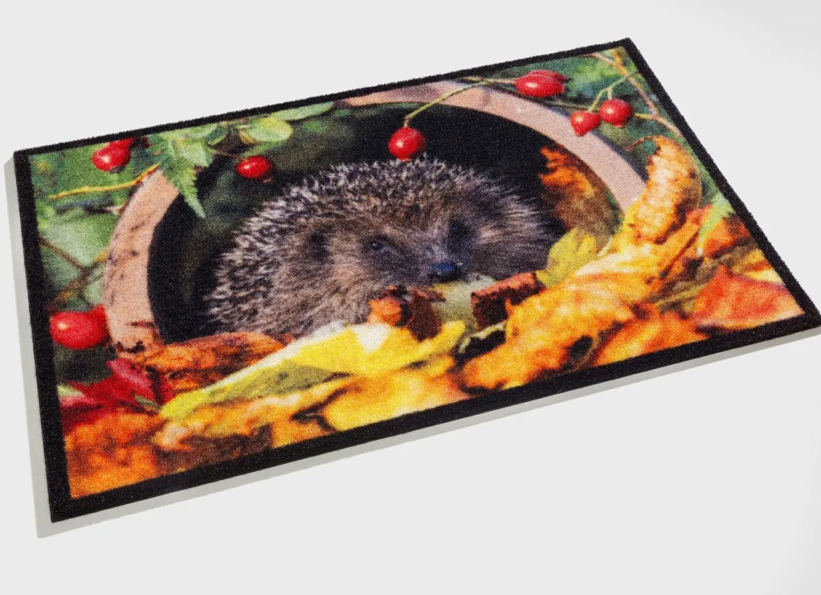 Fußmatte mit Igel-Motiv