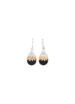 Funkelnde Ohrhaken mit Swarovski-Elements