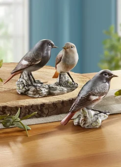 Hausrotschwanz - Vogel des Jahres 2025