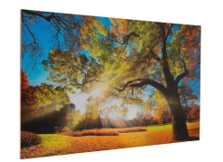 Hochwertiges Kunstdruck Bild