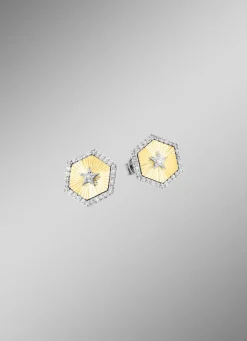 Ohrstecker in Bicolor mit 2 Brillanten und 60 Diamanten