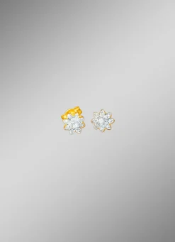Ohrstecker mit Brillanten und Diamanten