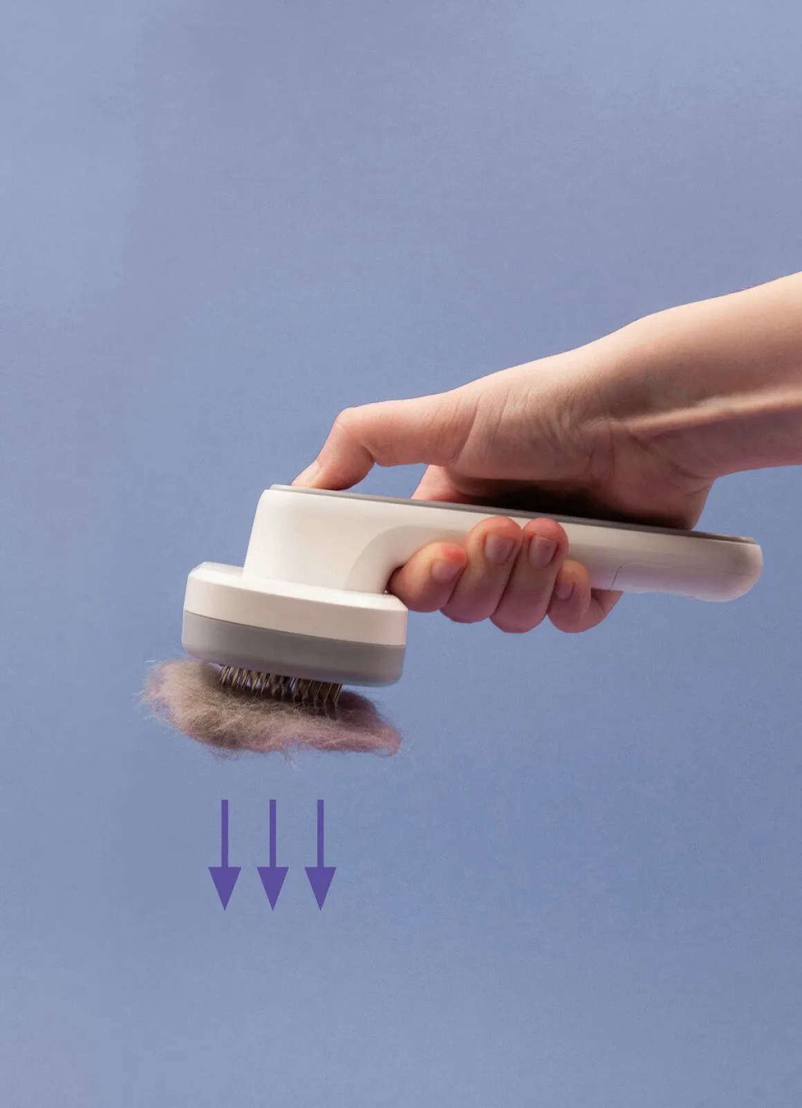"PiddiPet IonBrush" Tierhaarbürste