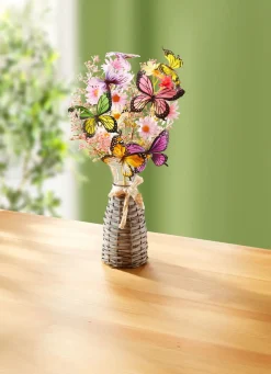 Schmetterlings-Arrangement