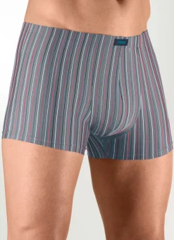 Sechserpack Pants aus Microfaser