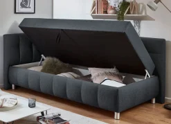 Studioliege mit Kissen und Bettkasten