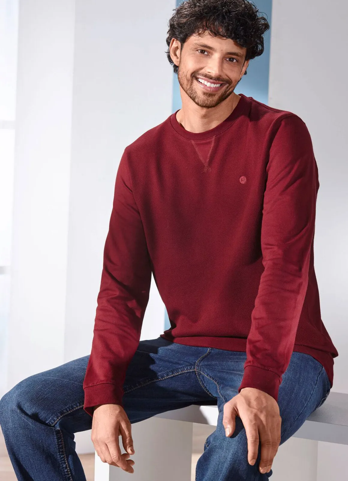 Sweatshirt in 3 Farben