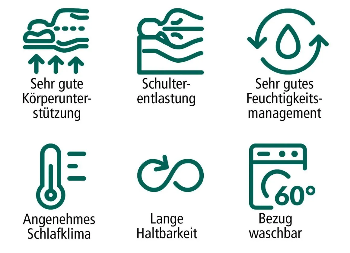 TESTSIEGER Mehrzonen-Matratze „max foam by fan“