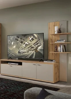TV-Longboard mit Wandpaneel