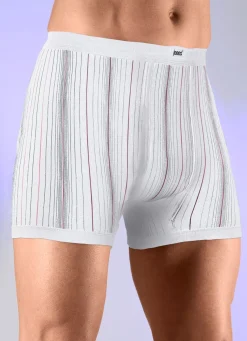 Viererpack Unterhosen mit Streifendessin