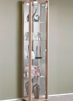 Vitrine, 1-türig, mit LED-Beleuchtung