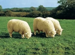 Wohlig weiche Lammfell-Sesselschoner
